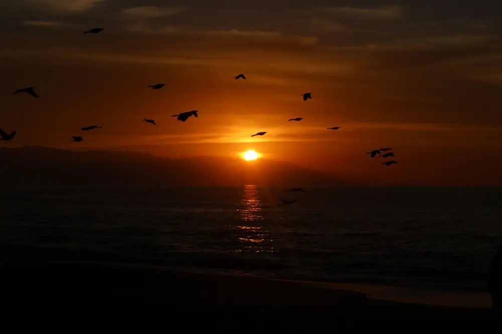 Puerto Vallarta Timeshare Cost Per Week Mexico Guide
