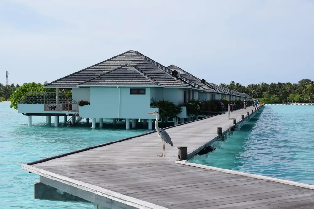 Timeshare Total Cost of Ownership 10 Year Math USA